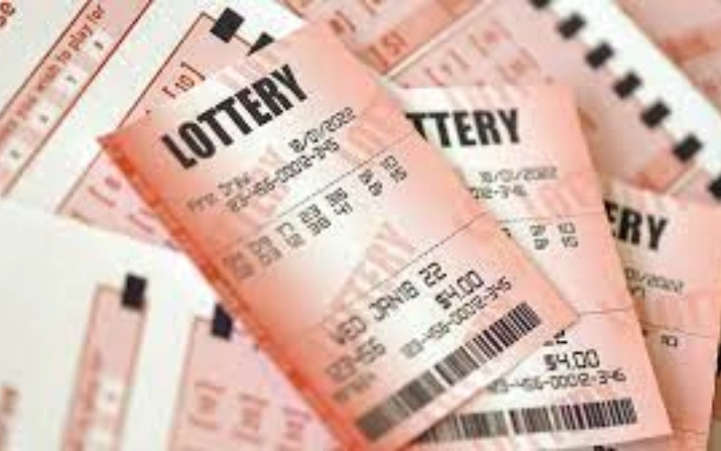 nagaland state lottery today​ at Lottery Sambad body image